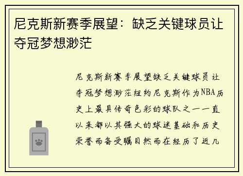 尼克斯新赛季展望：缺乏关键球员让夺冠梦想渺茫