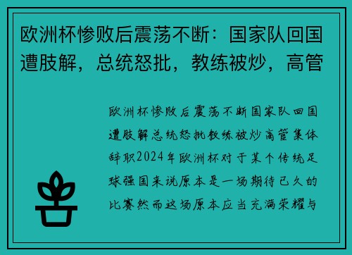 欧洲杯惨败后震荡不断：国家队回国遭肢解，总统怒批，教练被炒，高管集体辞职