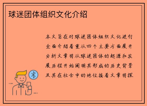 球迷团体组织文化介绍