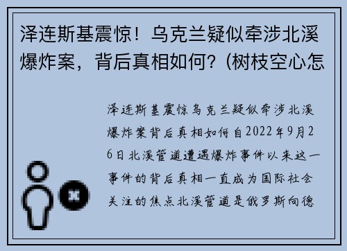 泽连斯基震惊！乌克兰疑似牵涉北溪爆炸案，背后真相如何？(树枝空心怎么办)